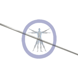 Rigid surgical endoscope with blue handle